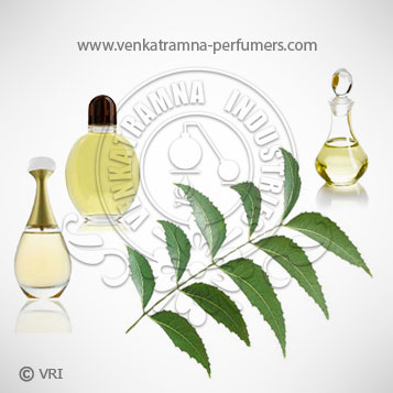 Neem Leaf (Azadirachta indica) Pure Essential Oil