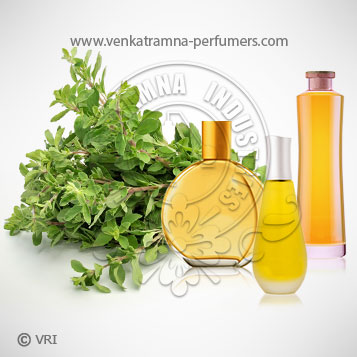 Marjoram (Origanum majorana) Pure Essential Oil