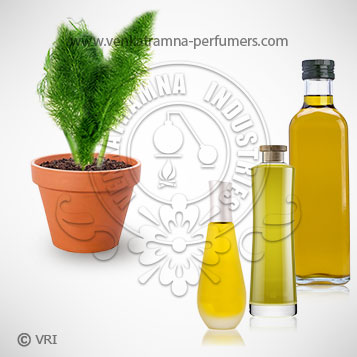 Davana (Artemisia pallens) Pure Essential Oil