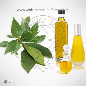 Bay Leaf (Cinnamomum tamala) Pure Essential Oil