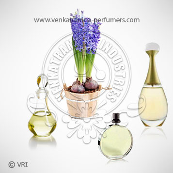 Hyacinth Absolute Oil 