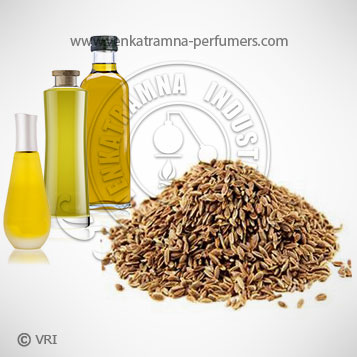 Cumin Seed (Cuminum cyminum) Pure Essential Oil