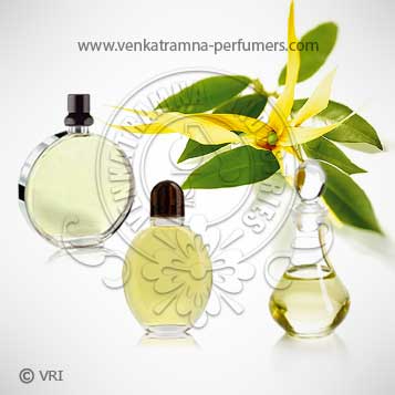 Ylang Ylang (Cananga odorata) Pure Essential Oil