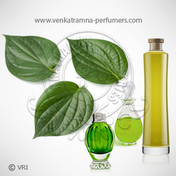 Betel Leaf (Piper betle) Pure Essential Oil