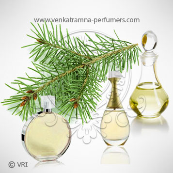 Pine (Pinus sylvestris) Pure Essential Oil