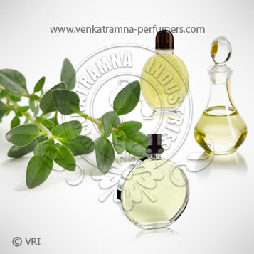 Thyme (Thymus vulgaris) Pure Essential Oil