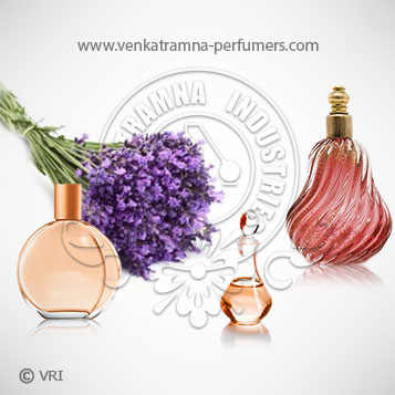 Lavender (Lavandula latifolia) Pure Essential Oil