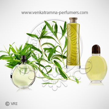 Tarragon (Artemisia dracunculus) Pure Essential Oil