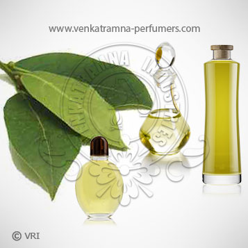 Laurel Leaf (Laurus nobilis) Pure Essential Oil