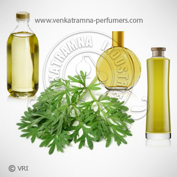 Wormwood (Artemisia absinthium) Pure Essential Oil