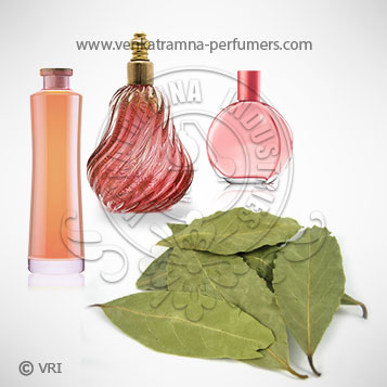 Cinnamon Leaf (Cinnamomum verum) Pure Essential Oil